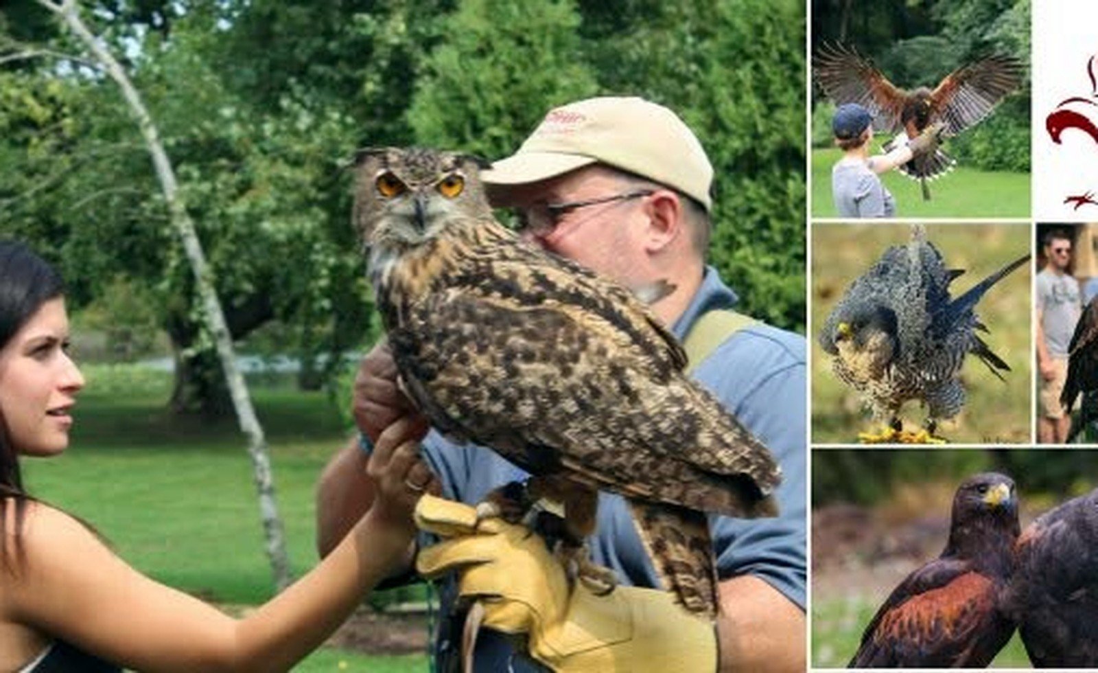 Ohio School of Falconry Nature's Nursery social media feature