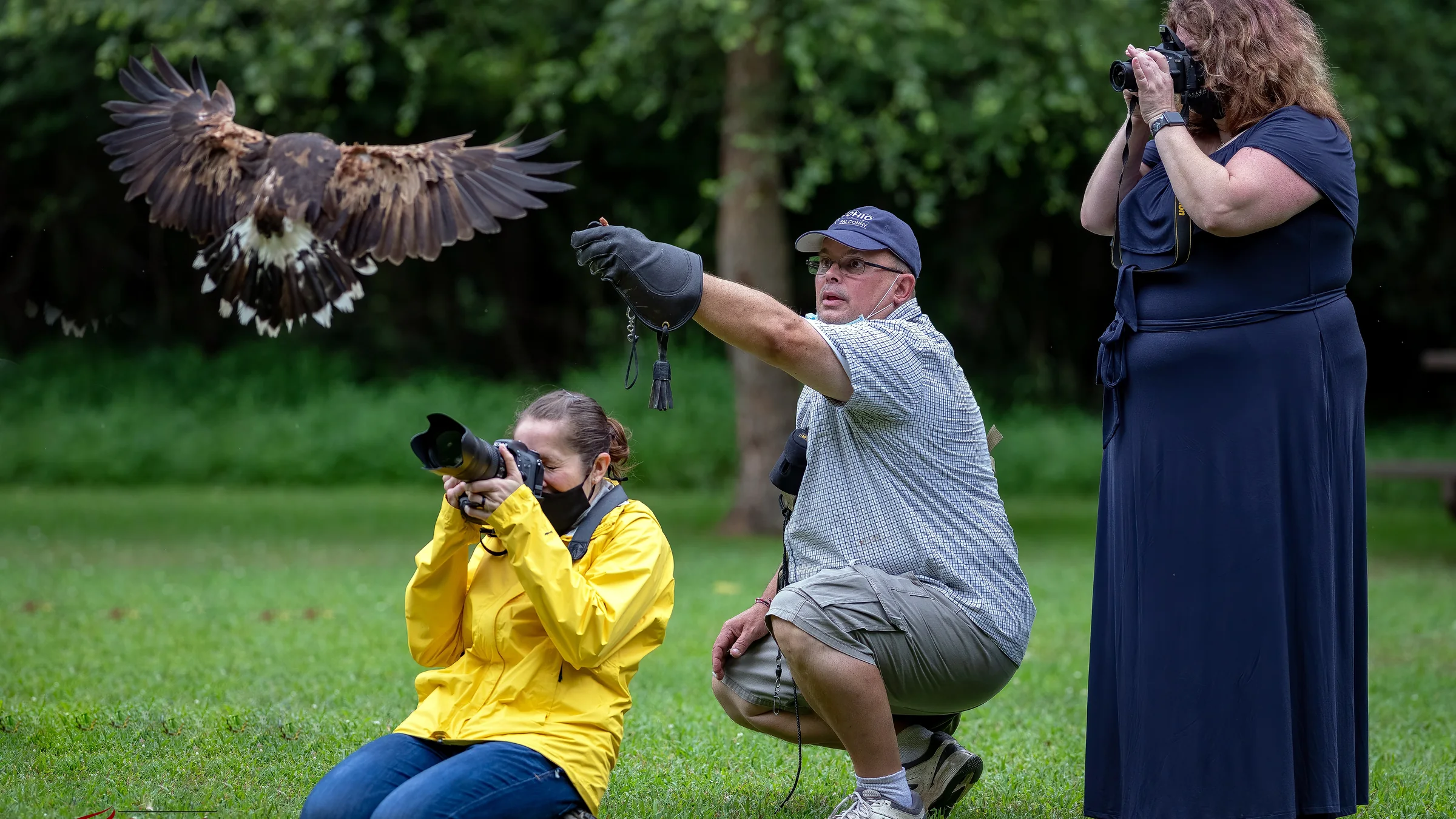 Ohio School of Falconry guests and ambassador hawks after a program
