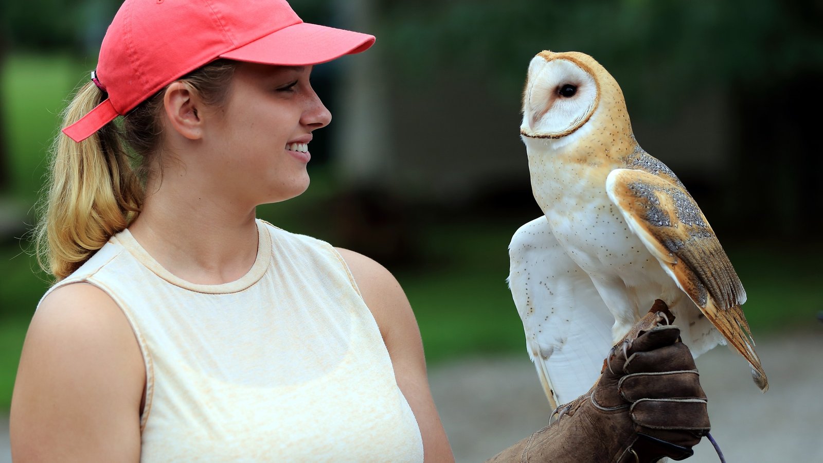 Ohio School of Falconry educator with an ambassador raptor