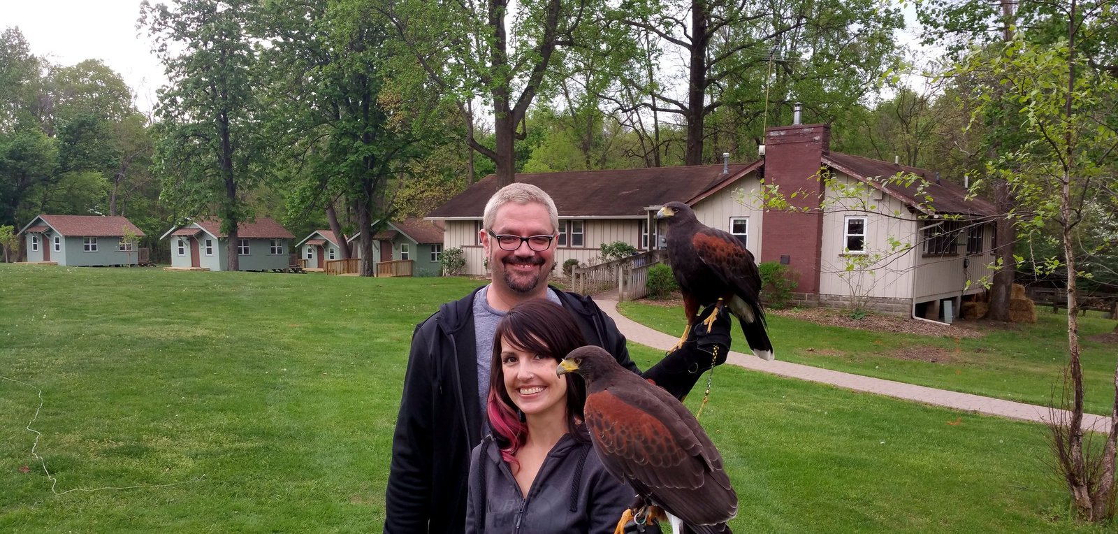Ohio School of Falconry ambassador hawk during a public program